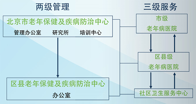 老年健康服务体系结构.jpg