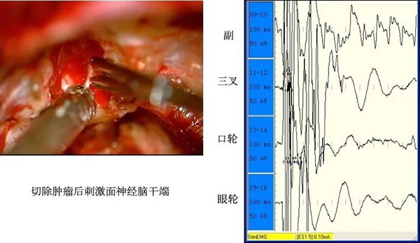 微信图片_20240930202119.jpg